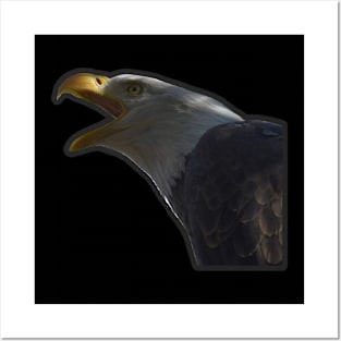 Bald Eagle Posters and Art